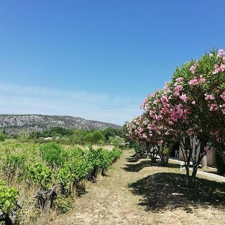 Maison A Louer En Ardeche Du Sud Saint-Martin-dʼArdèche 외부 사진